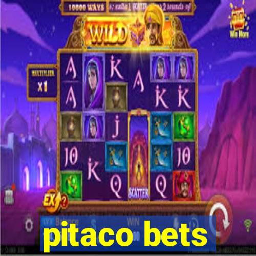 pitaco bets